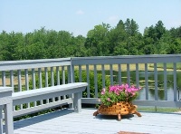 View from the deck photo